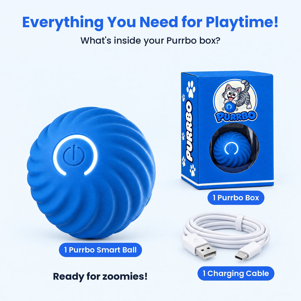 What's inside the Purrbo box: smart ball, box and charging cable