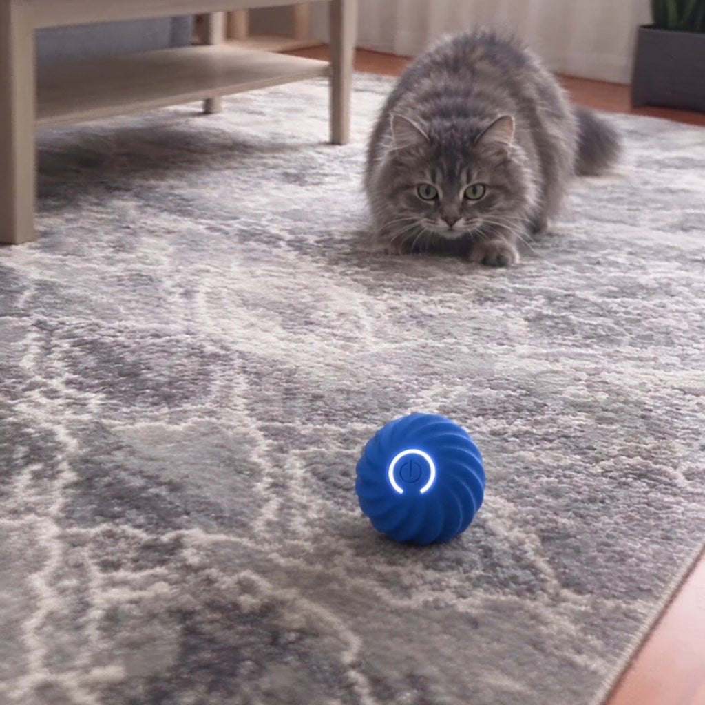 Grey cat stalking the Purrbo ball on a rug