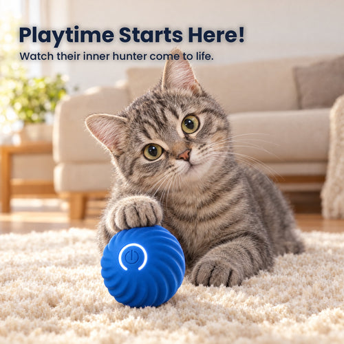 Tabby cat with its paw on the Purrbo ball - Playtime starts here