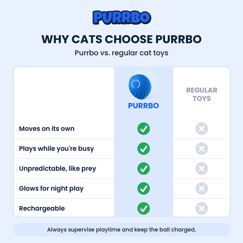 Why cats choose Purrbo vs regular cat toys